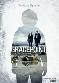 Грейспойнт (2014) Gracepoint