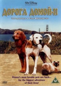 Дорога домой 2: Затерянные в Сан-Франциско (1996) Homeward Bound II: Lost in San Francisco
