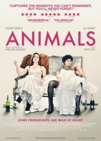 Животные (2019) Animals