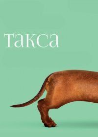 Такса (2015) Wiener-Dog