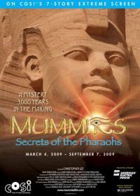 Мумии: Секреты фараонов 3D (2007) Mummies: Secrets of the Pharaohs