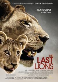 Последние львы (2011) The Last Lions