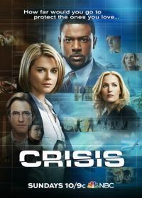 Захват (2014) Crisis