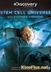 Мир стволовых клеток со Стивеном Хокингом (2014) Stem Cell Universe with Stephen Hawking