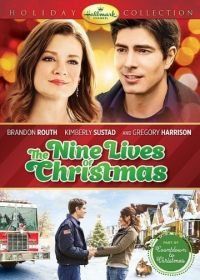 Девять жизней Рождества (2014) The Nine Lives of Christmas