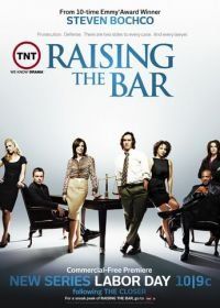 Адвокатская практика (2008) Raising the Bar
