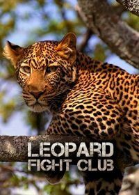 Бойцовский клуб для леопарда (2013) Leopard Fight Club