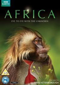 Африка (2013) Africa