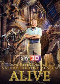 Музей естественной истории с Дэвидом Аттенборо (2014) David Attenborough's Natural History Museum Alive