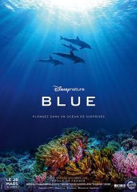 Дельфины (2018) Blue