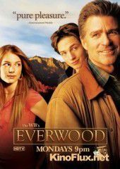 Любовь вдовца (2002) Everwood