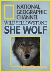 National Geographic. Дикий Йеллоустоун: Волчица (2013) Wild Yellowstone: She Wolf