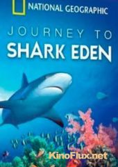 Царство акул (2010) Shark Eden