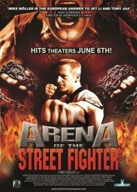 Уличный боец (2013) Arena of the Street Fighter