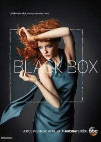 Чёрный ящик (2014) Black Box