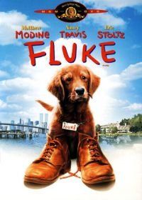 Флюк (1995) Fluke