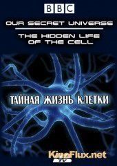 Внутренняя вселенная: Тайная жизнь клетки (2012) Our Secret Universe: The Hidden Life of the Cell