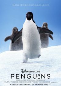 Пингвины (2019) Penguins