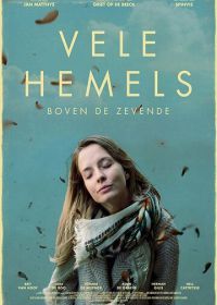 В бесконечных небесах (2017) Vele Hemels