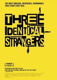 Три одинаковых незнакомца (2018) Three Identical Strangers