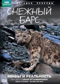 BBC: Снежный барс: Мифы и реальности (2007) Natural World: Snow Leopard - Beyond the Myth