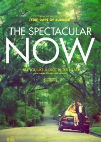Захватывающее время (2013) The Spectacular Now