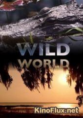 Мир дикой природы (2010) Wild World