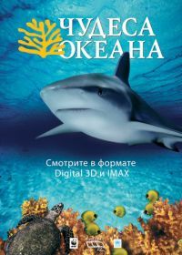 Чудеса океана 3D (2003) Ocean Wonderland
