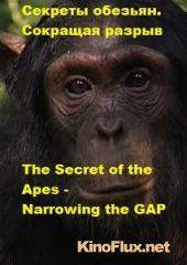 Секреты обезьян. Сокращая разрыв (2013) The Secret of the Apes - Narrowing the GAP