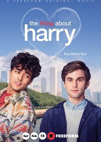 Кое-что о Гарри (2020) The Thing About Harry
