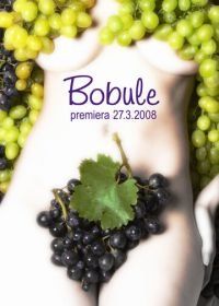 Ягоды (2008) Bobule