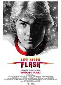 Жизнь после Флэша (2017) Life After Flash