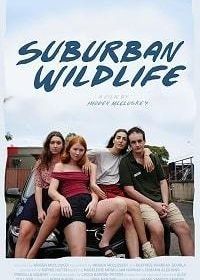 Дикая жизнь в пригороде (2019) Suburban Wildlife