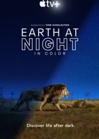Земля ночью в цвете (2020) Earth at Night in Color