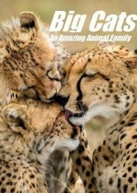 Кошки: Удивительная звериная семейка (2015) Cats: An Amazing Animal Family