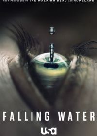 Падающая вода (2016) Falling Water