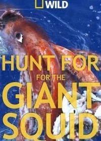 Глубоко в океане (2019) Hunt for the Giant Squid