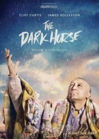 Тёмная лошадка (2014) The Dark Horse