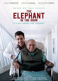 Очевидное (2019) The Elephant In The Room
