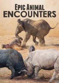 Невероятные встречи с животными (2019) Epic Animal Encounters