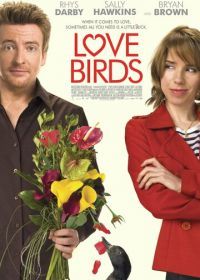 Любовные пташки (2011) Love Birds