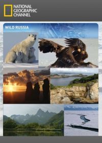 Дикая природа России (2008) Wildes Russland