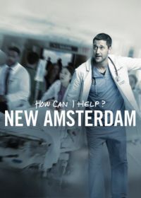 Новый Амстердам (2018) New Amsterdam