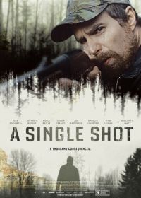 Единственный выстрел (2013) A Single Shot