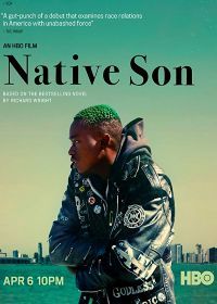 Сын Америки / Родной сын (2019) Native Son