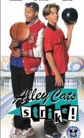 Меткий бросок (2000) Alley Cats Strike
