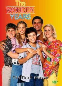 Чудесные годы (1988) The Wonder Years