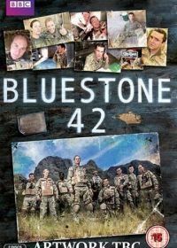 Песчаник 42 (2013) Bluestone 42