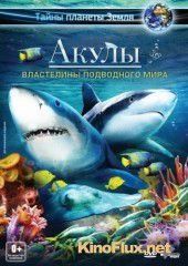 Акулы 3D: Властелины подводного мира (2013) Sharks 3D: Kings of the Ocean