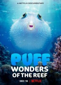 Чудеса кораллового рифа (2021) Puff: Wonders of the Reef